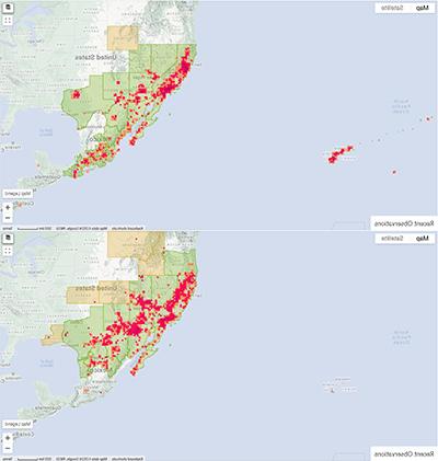 Range Map for Carpenter Bee