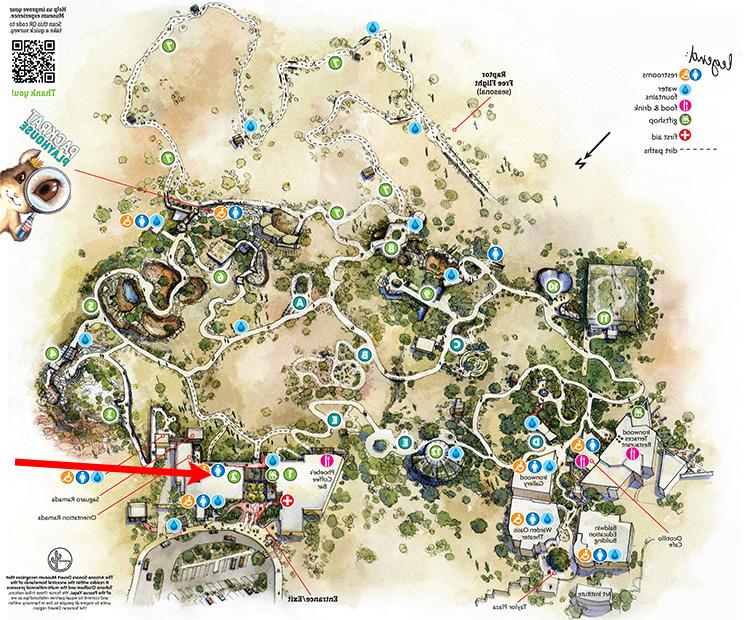 Museum map showing location of Desert Blonde Tarantula