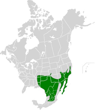 Range Map for Greater Roadrunner