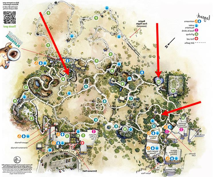 Museum map showing location of Pepsis Wasp