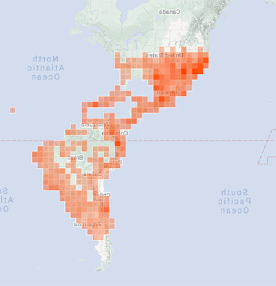 Range Map for Pepsis Wasp