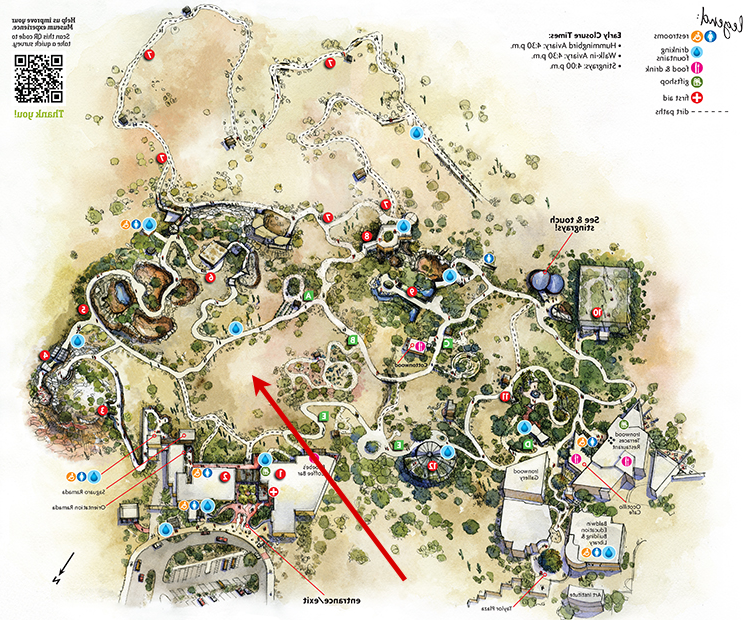 Museum map showing location of Saguaro Cactus